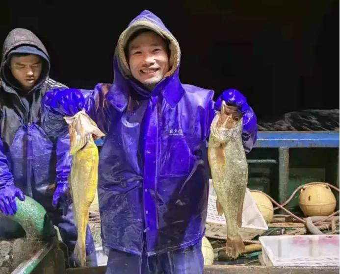 渔民意外捕获1000多斤野生大黄鱼,渔民捕到7斤野生大黄鱼价格