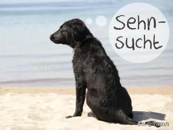 自媒体爆款的文章,自媒体十大爆款文章平台