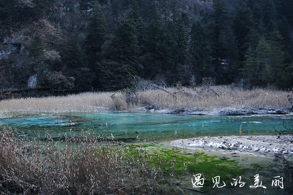 如果一生只去一个古城,一生去一次九寨沟