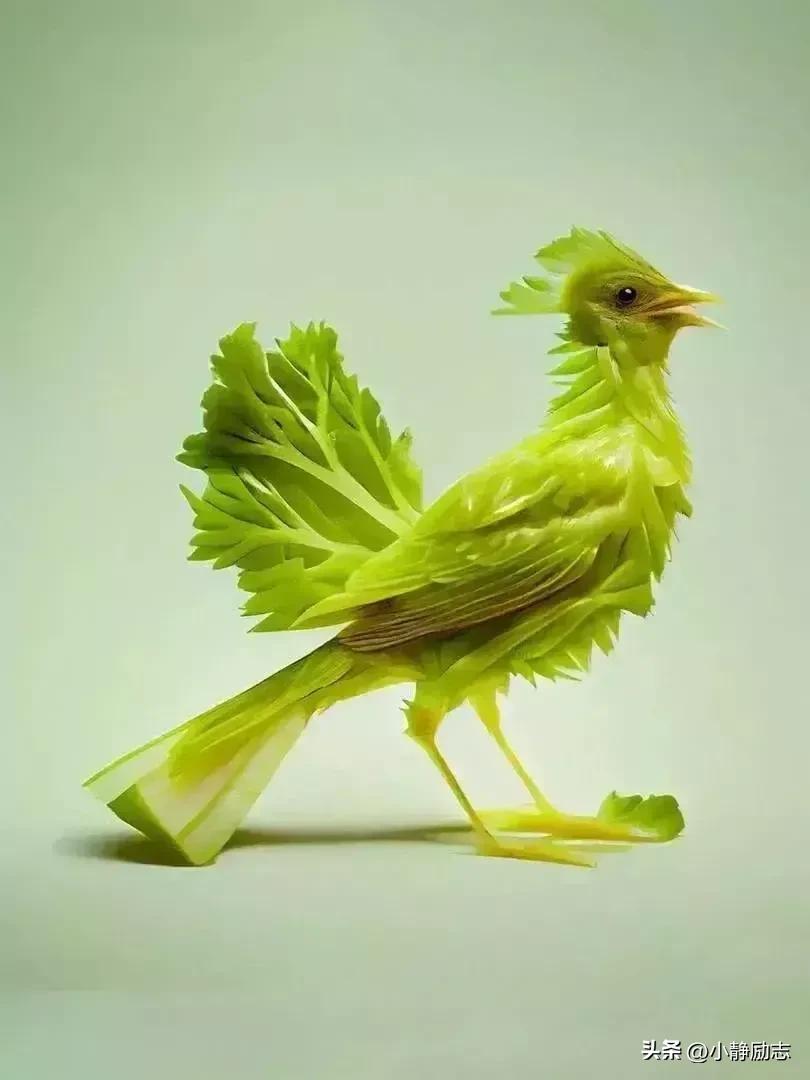 儿童励志睡前故事正能量小故事,励志小故事正能量故事适合小学生