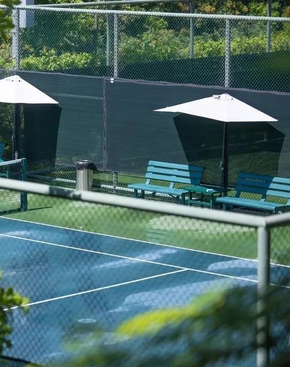 深圳福田免费公园排名前十名,福田中心公园游玩攻略