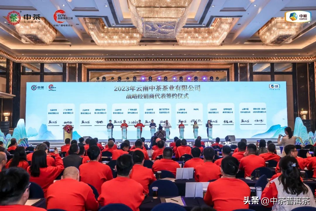 中茶普洱茶经销商信息大会,中茶2024年经销商大会
