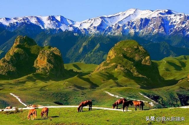 *疆新**天山，英雄的山脉