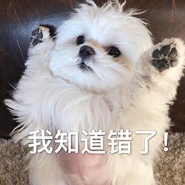 别管养什么狗，这些“忌讳”不要犯，不然它会翻脸！