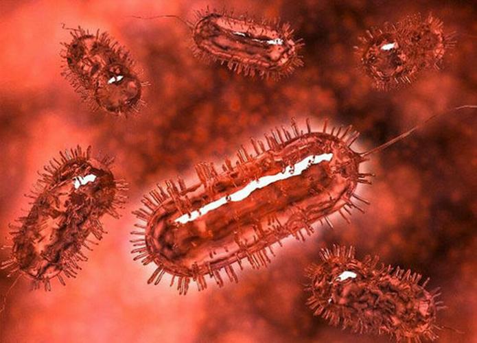 石榴中维生素c的含量高吗,石榴中维生素c含量