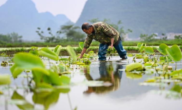 温铁军谈未来农村的房子,温铁军谈农村土地和房子要留好