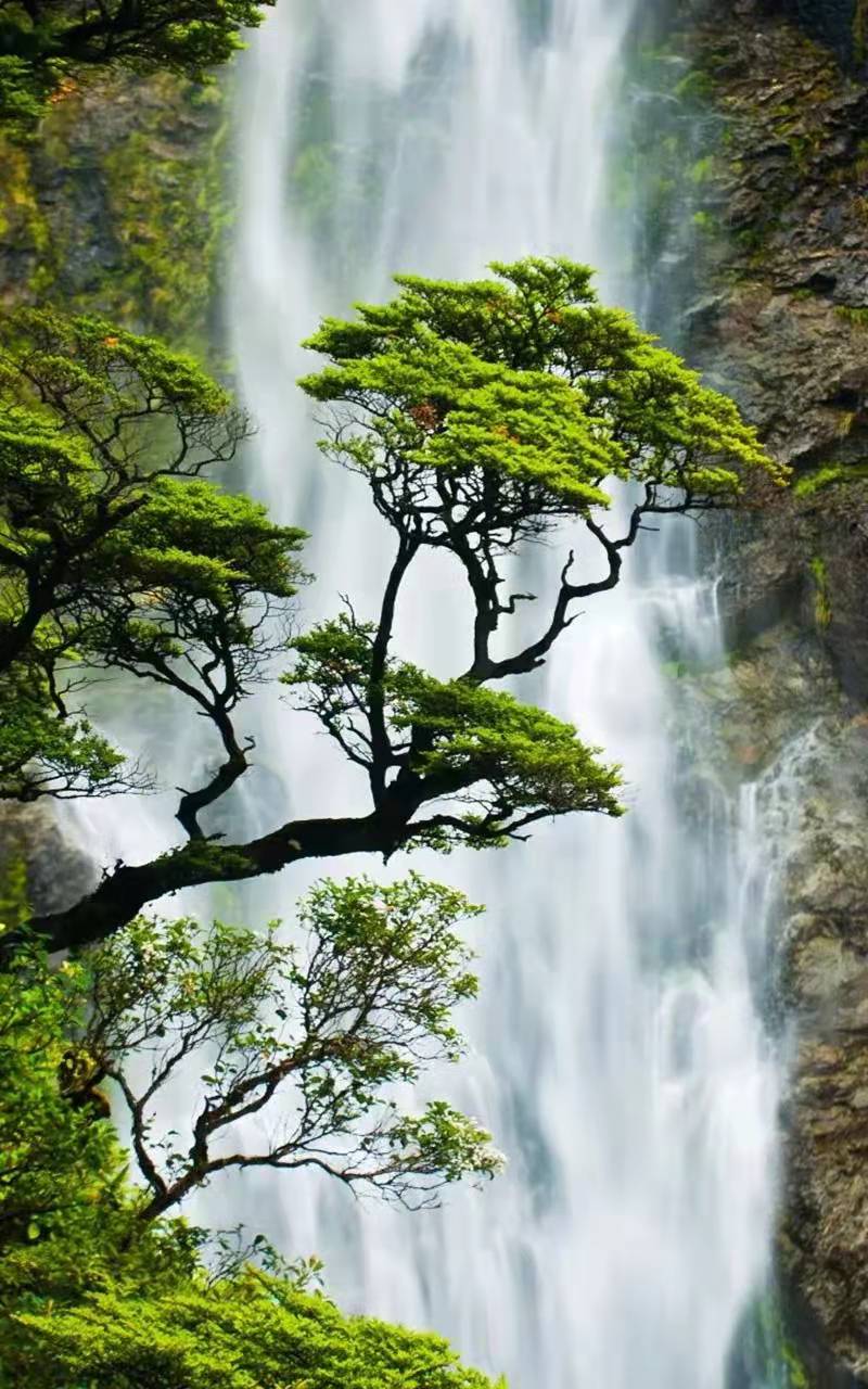 小学生生日怎么庆祝,怎么在操场庆祝生日