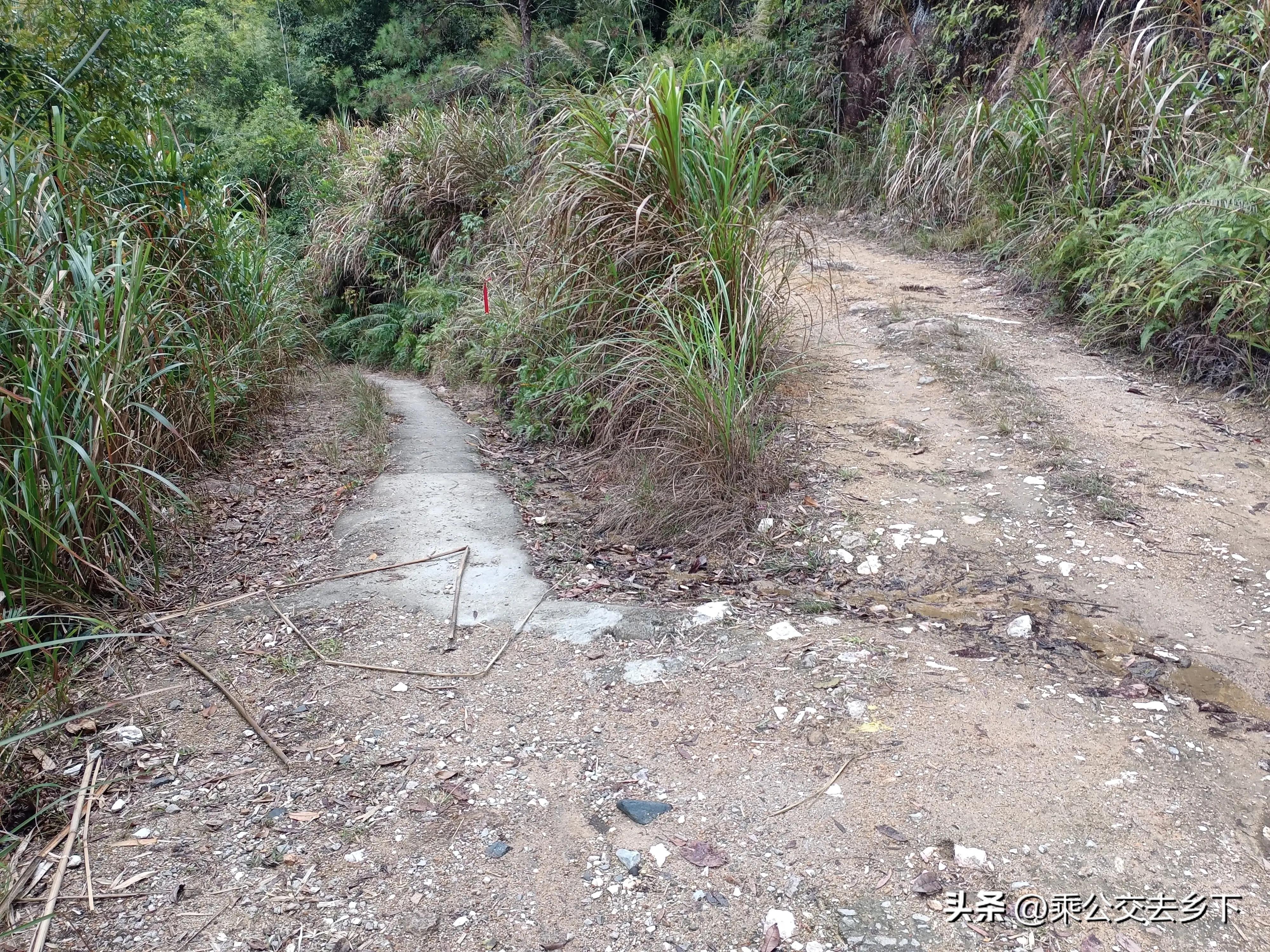 雨后从化古溪徒步,从化古溪线自驾游攻略