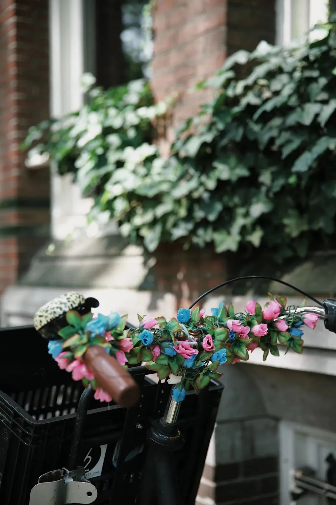 荷兰旅行自行车,荷兰骑自行车旅游