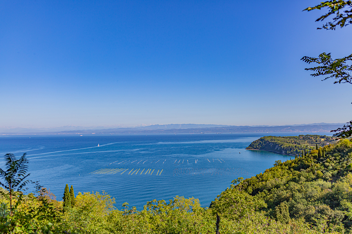 佛罗伦萨旅游自由行推荐,欧洲旅游旅行线路攻略大全