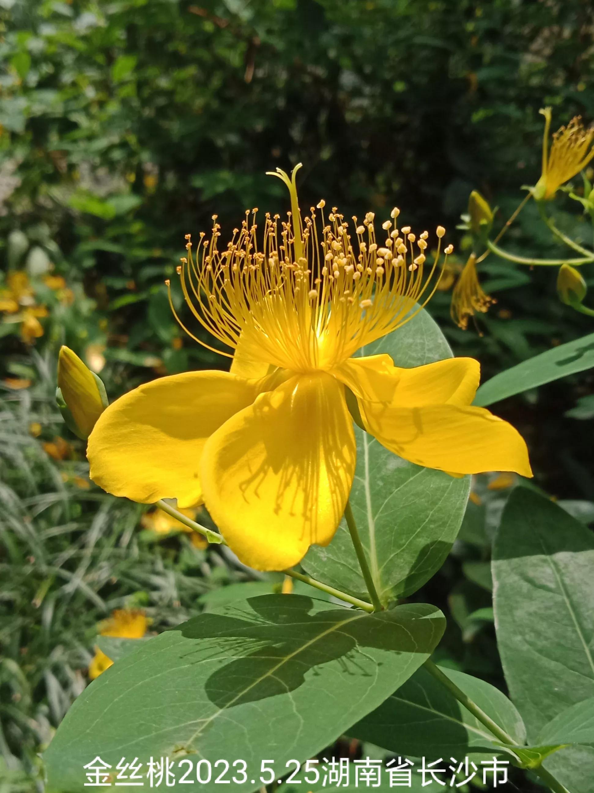 微信群没有保存下来怎么找回来,怎么找回没保存的微信群