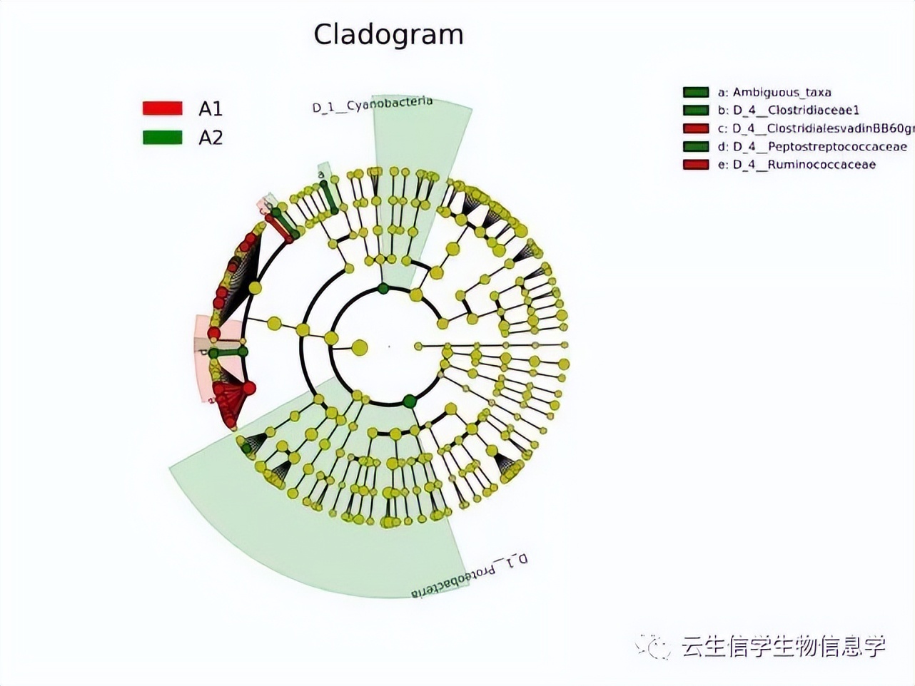 什么叫16srna测序,16srna测序和16sdna测序的区别