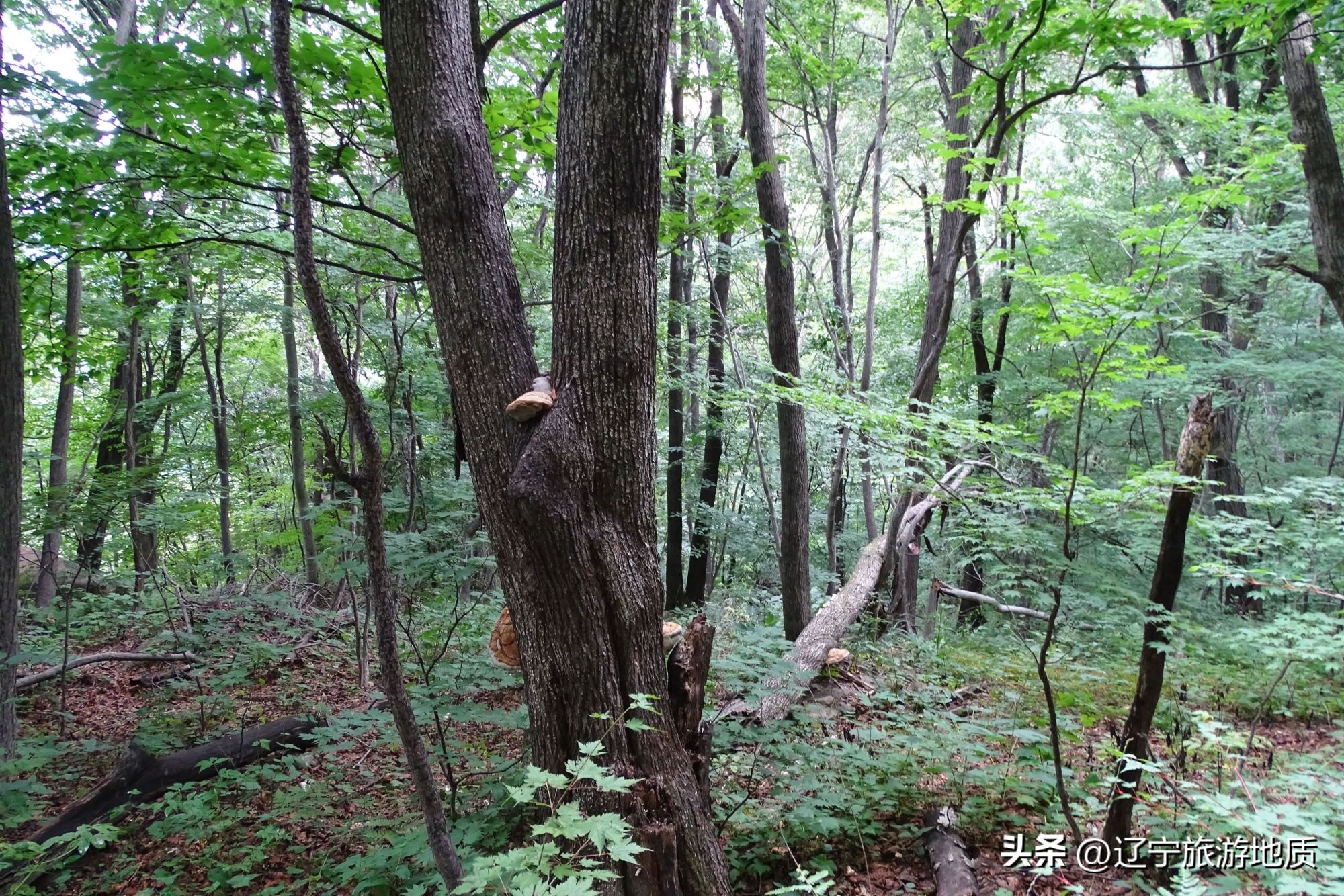 丹东四大名山排名,丹东的名山简介