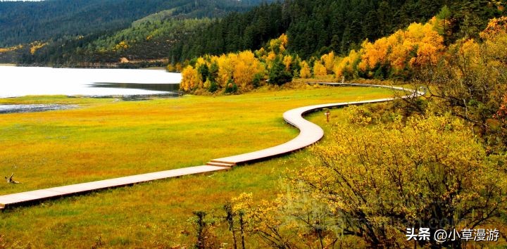 云南弥勒市旅游最该去必去景点,云南西双版纳旅游景点攻略自由行