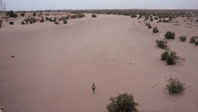 每年2000瓶，喝出糖尿病，可口可乐如何摧毁墨西哥？