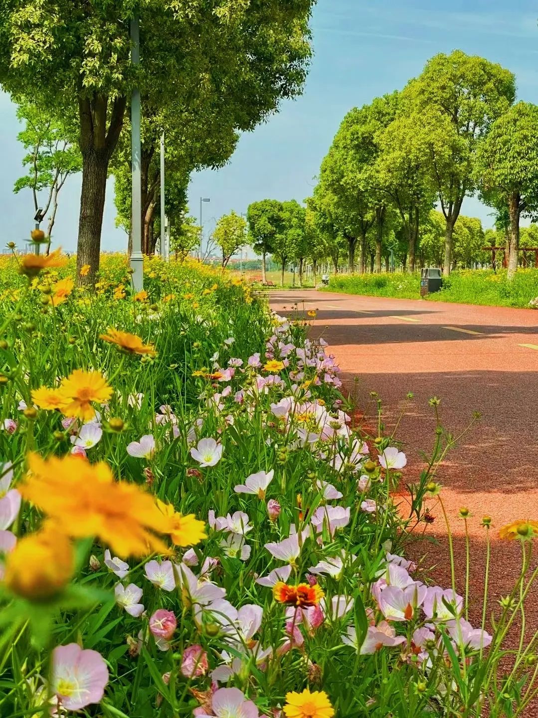 秋日暖阳骑行绿道,骑车绕城绿道值得打卡的推荐