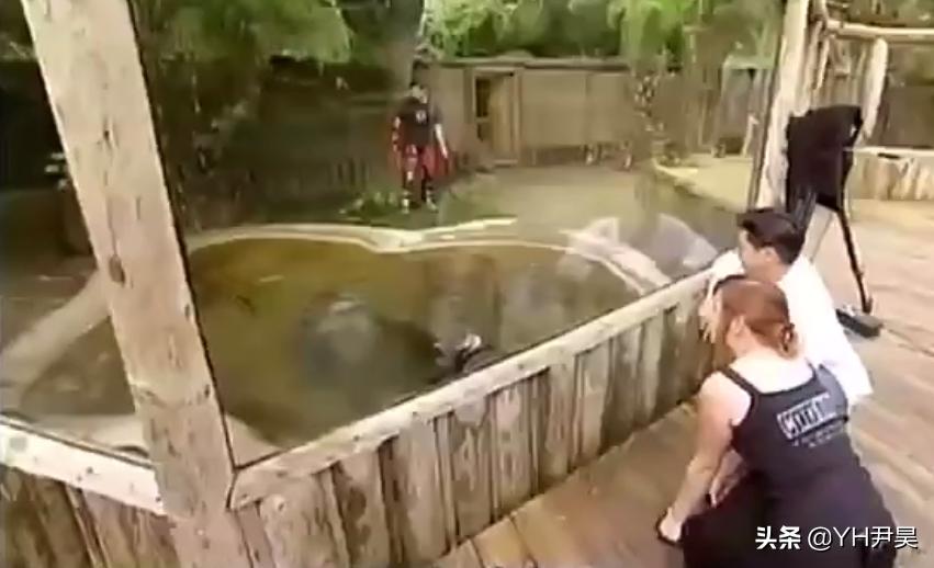 这是真的吗？当人被鳄鱼追赶时，z字型逃跑能快速摆脱鳄鱼