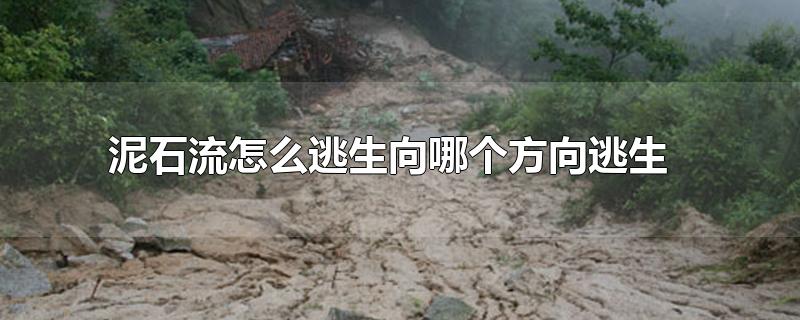 居然傻呆呆在拍，还不赶紧逃命？吉尔吉斯斯坦冰川崩塌：太可怕了