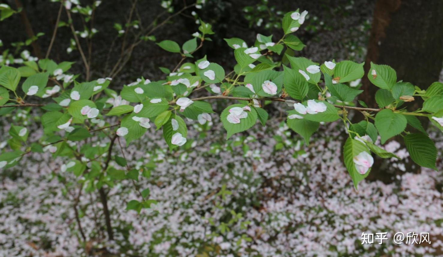 湖北十堰旅游攻略三日游,湖北到贵州三日游景点攻略图