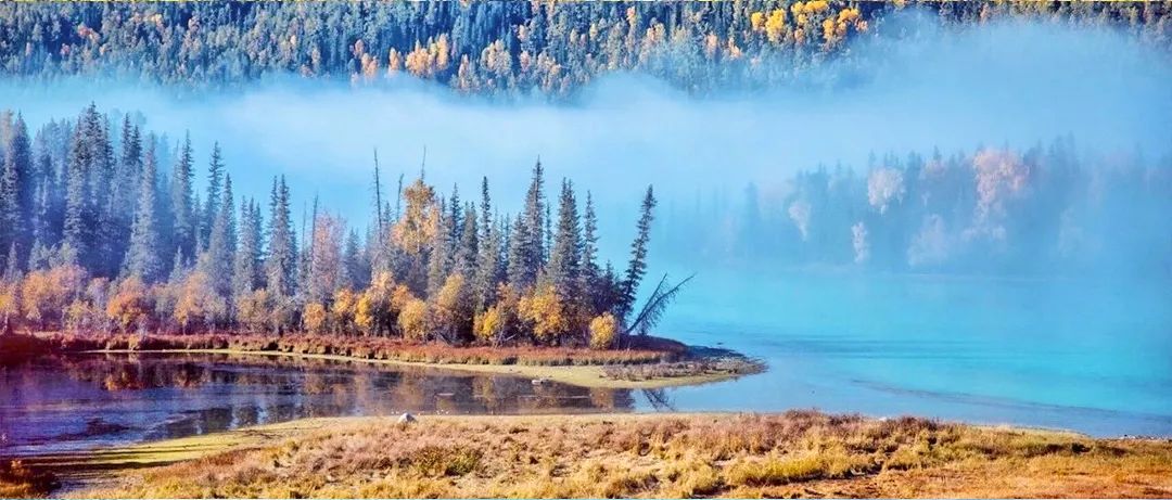 秋季喀纳斯,喀纳斯之秋风景画