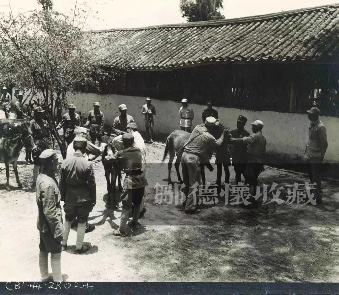 寻找马廷诲：44年后，寻回被遗忘的忠魂