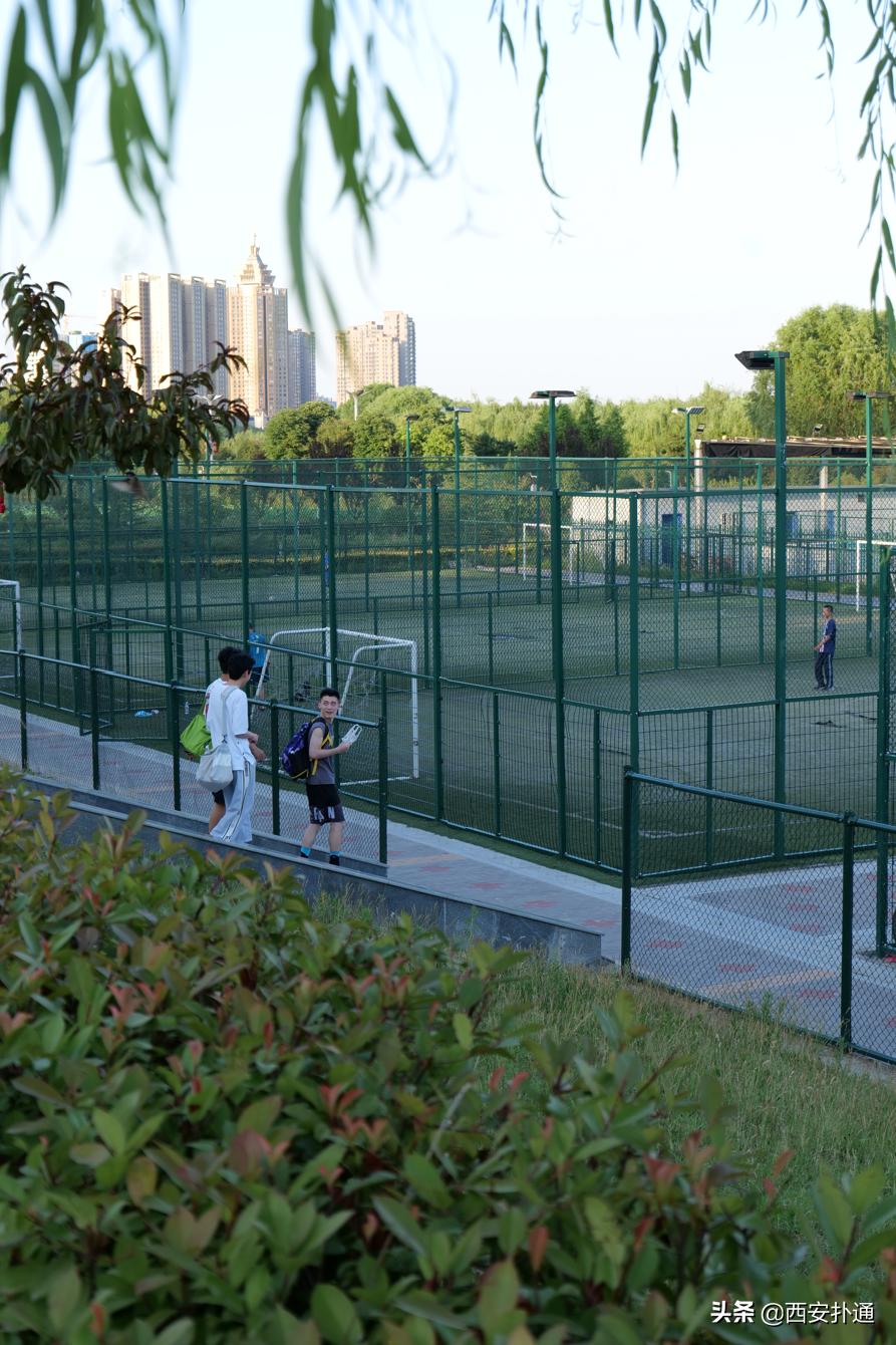 西安最大花海公园,西安周边的自然景观公园