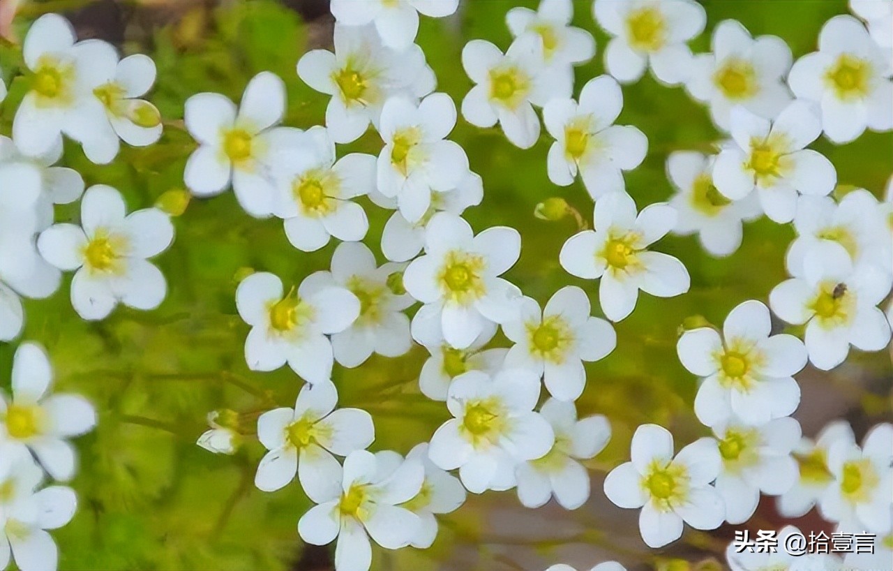 越是心穷的人越有这几个习惯,如何观察一个人是真穷还是假穷