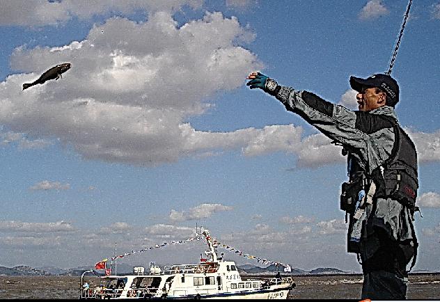 摄影的用光技巧是什么意思,摄影技巧中的角度分析是什么