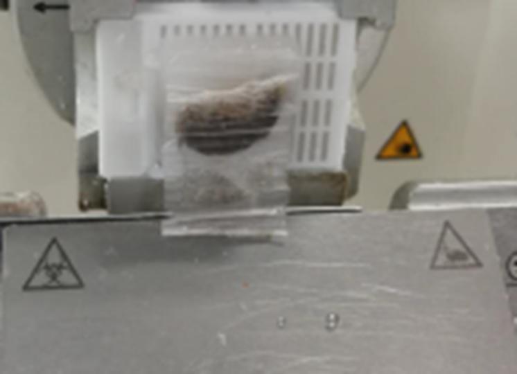 石蜡组织切片的注意事项,为什么石蜡切片不连贯