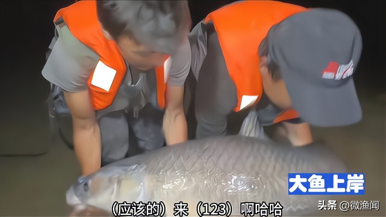 遛鱼巨青,网红钓鱼500块钓到6000块的鱼