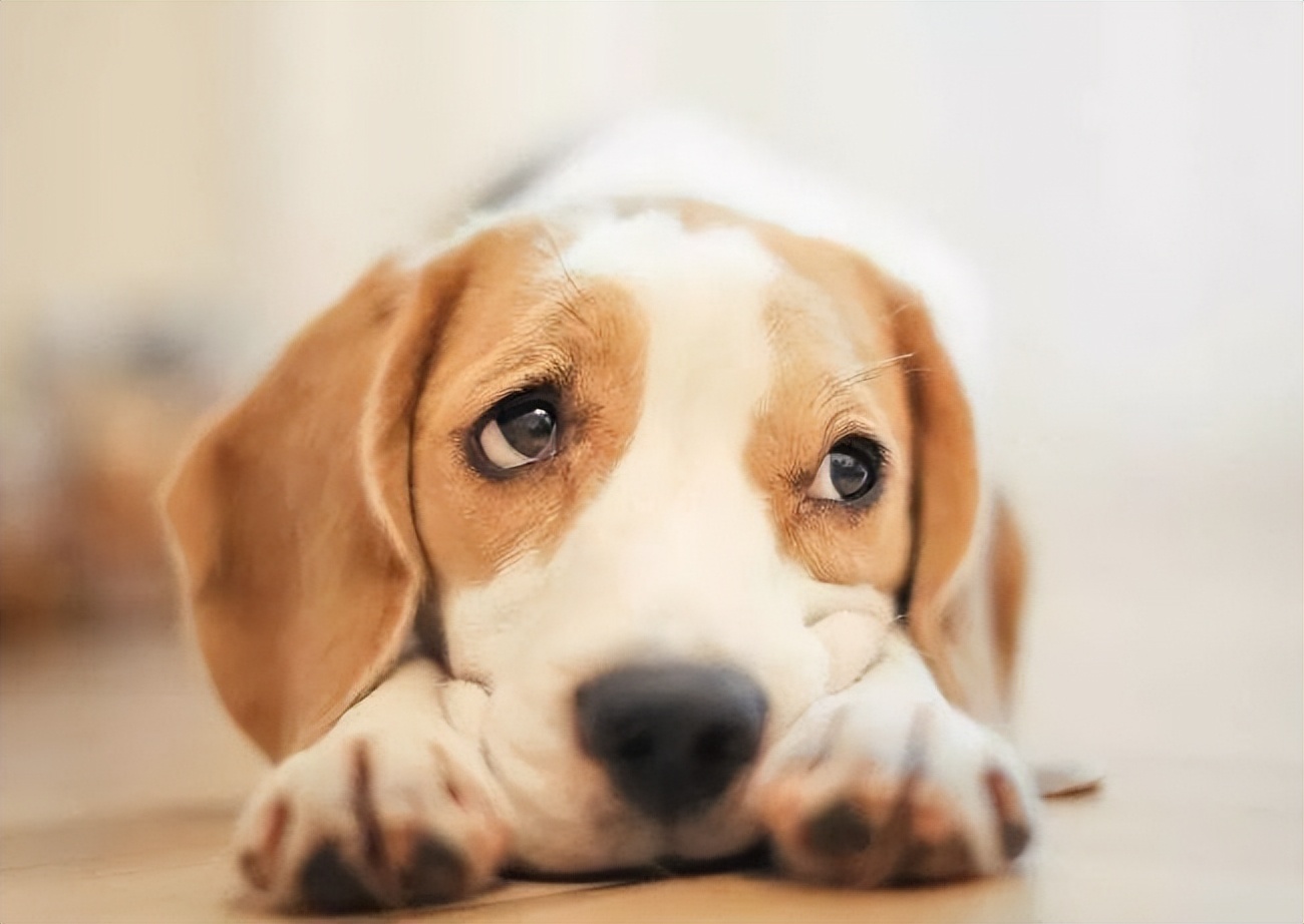 盘点6种不可思议的“异食癖”,盘点十种奇怪的异食癖