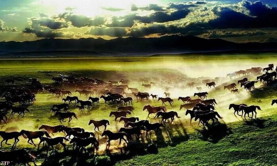 最美中国年摄影作品,大美中国全国摄影大赛