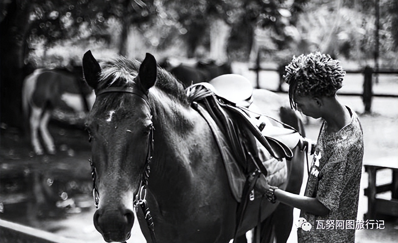 2023年瓦努阿图旅行十大活动清单