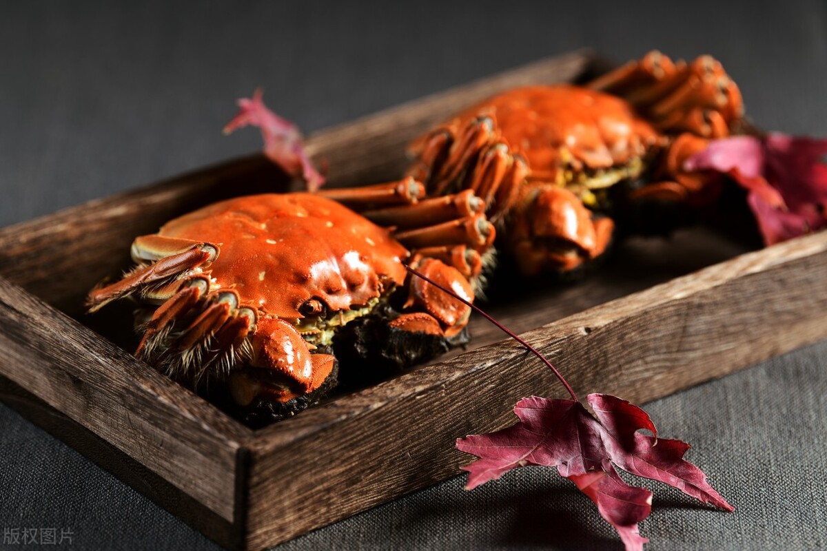 开大闸蟹专卖店利润有多少,开一家活大闸蟹专卖店