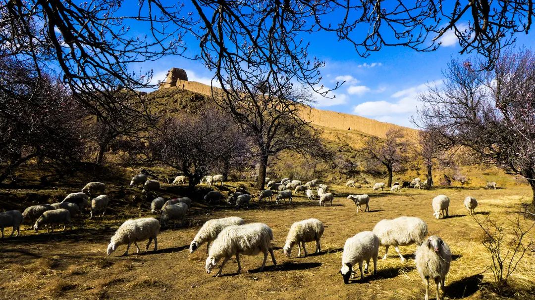 迎接党的20大美术作品,喜迎二十大乡村摄影展