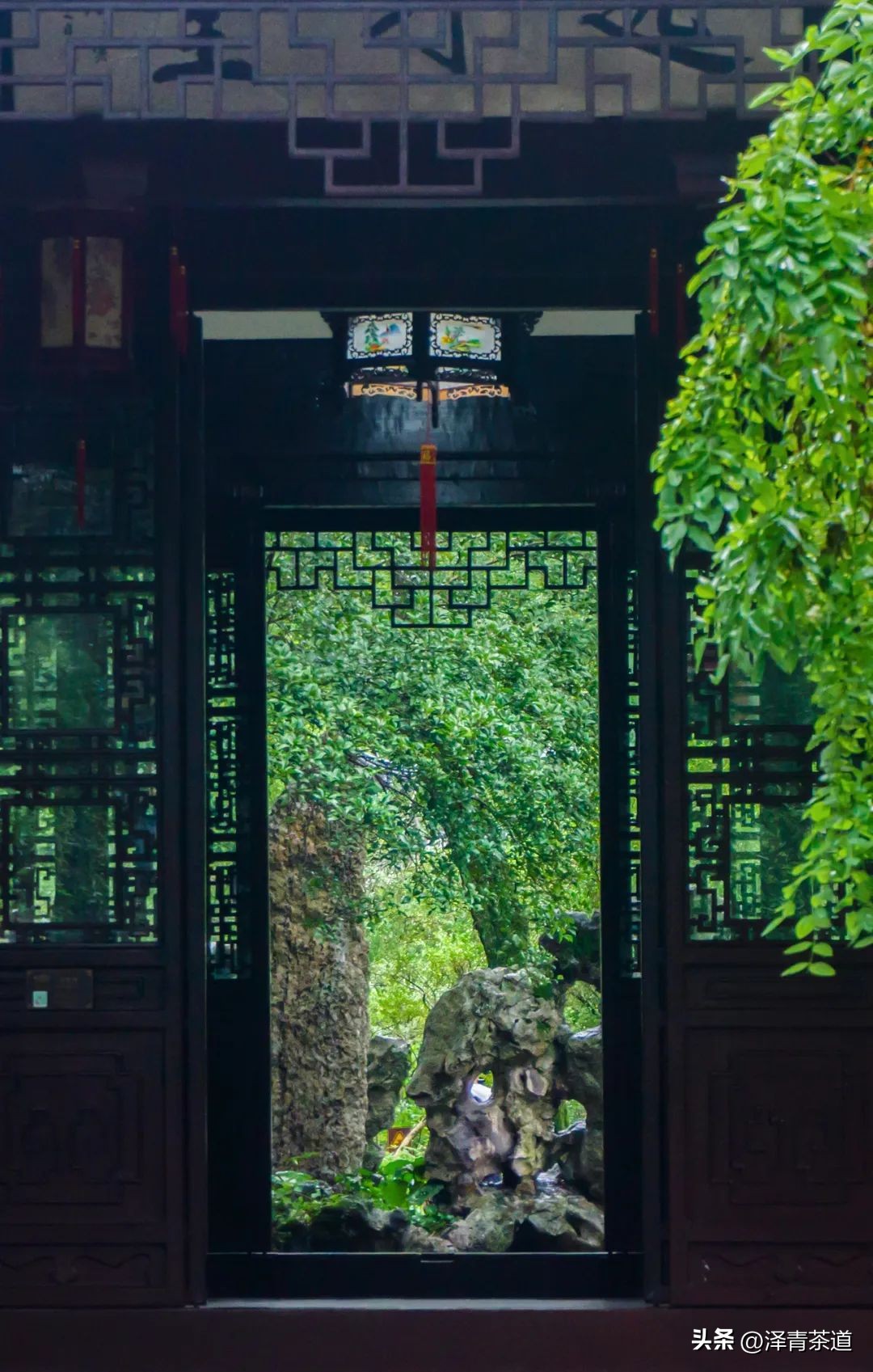 端午节如何吃粽子喝茶更健康,端午节吃粽子搭配茶解腻更健康