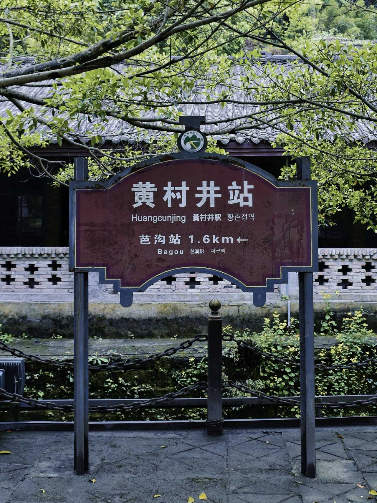 乐山异国风情打卡新去处,乐山游玩攻略及人文风情