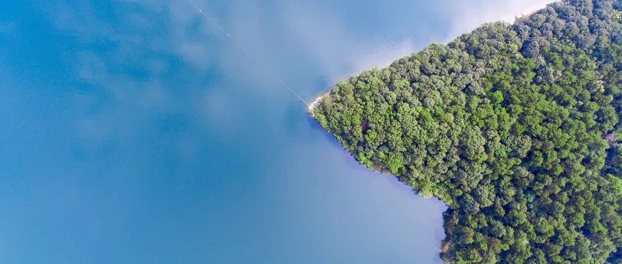 从中国女子在日本买岛一事，浅谈日本的土地投资