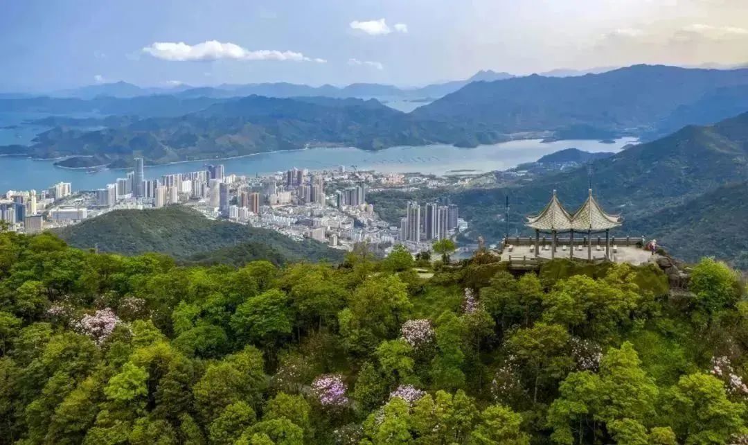 深圳黄金海岸旅游活动攻略,深圳黄金海岸旅游