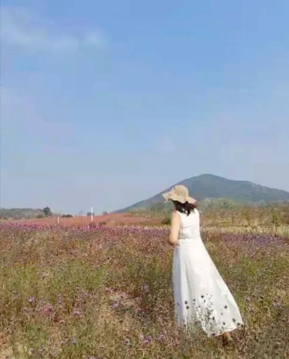 蚌埠禾泉山庄在哪里呀,蚌埠禾泉山庄爬涂山旅游攻略