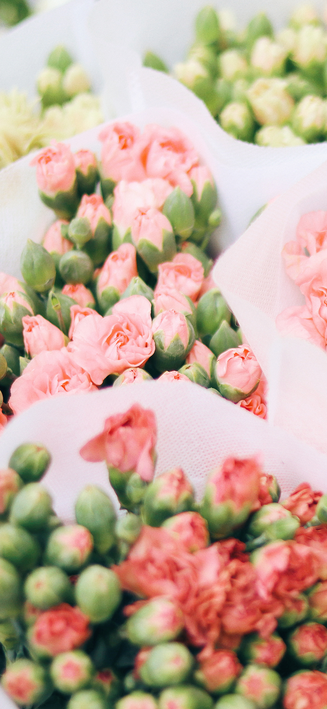 2023年手机壁纸,2023年最新款超清手机壁纸