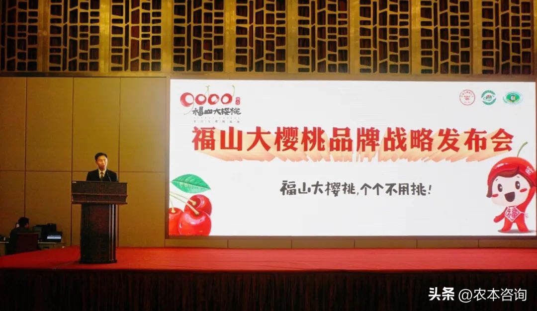 福山樱桃排名第一,山东福山大樱桃