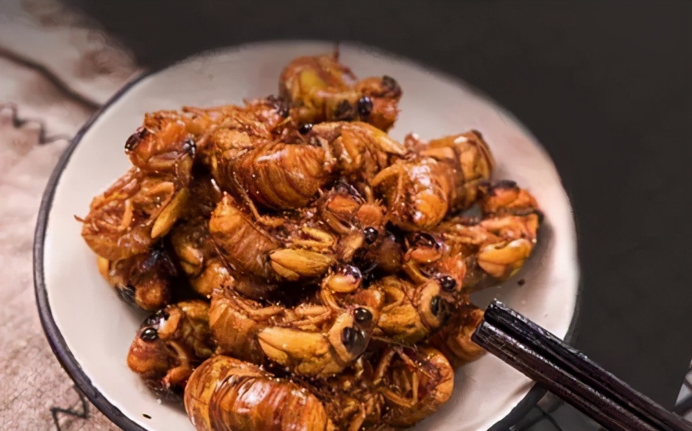 金蝉别只会炸着吃，分享金蝉的3种做法，入味好吃，酥脆不油腻