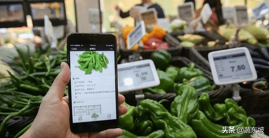 蔬东坡app靠谱吗,蔬东坡系统软件功能