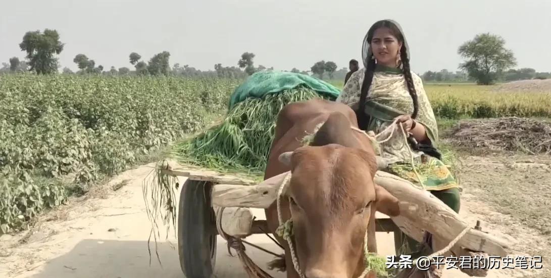 一组林徽因老照片,70年代老照片林徽因