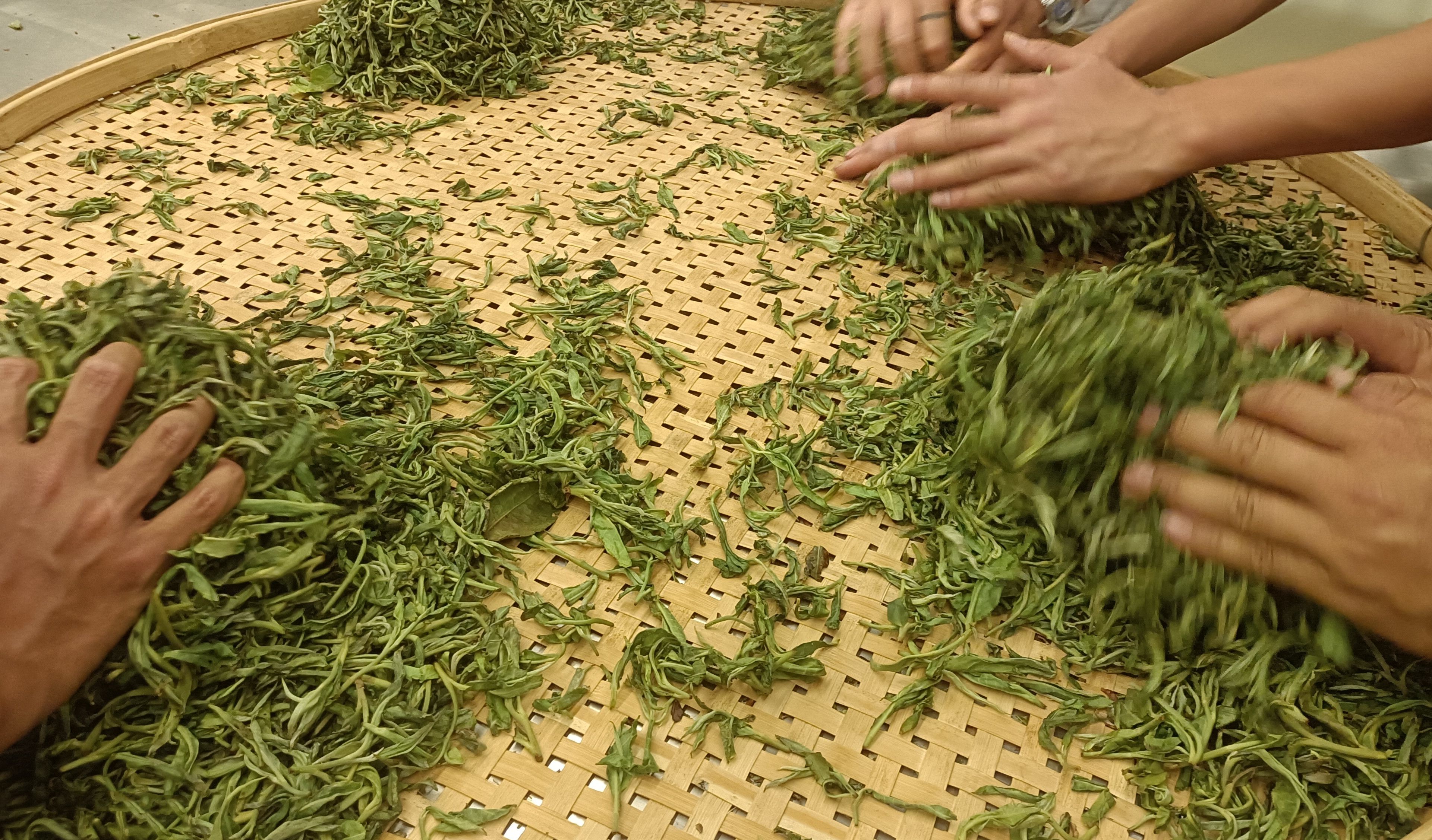 失业了想开个小吃店,开茶叶店的风险大吗