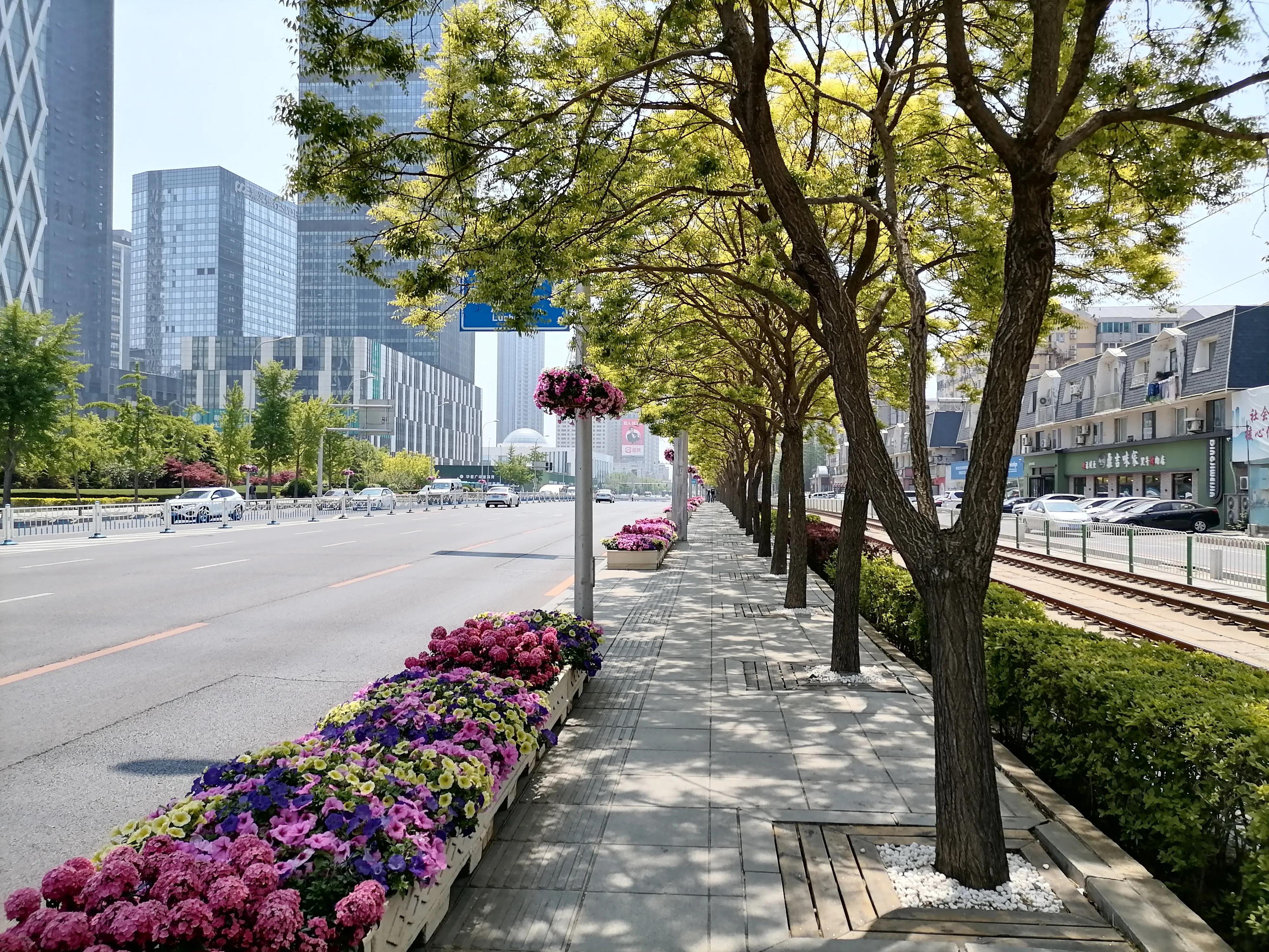 到大连星海广场应该玩点什么,大连兴工街到甘井子万达坐什么车