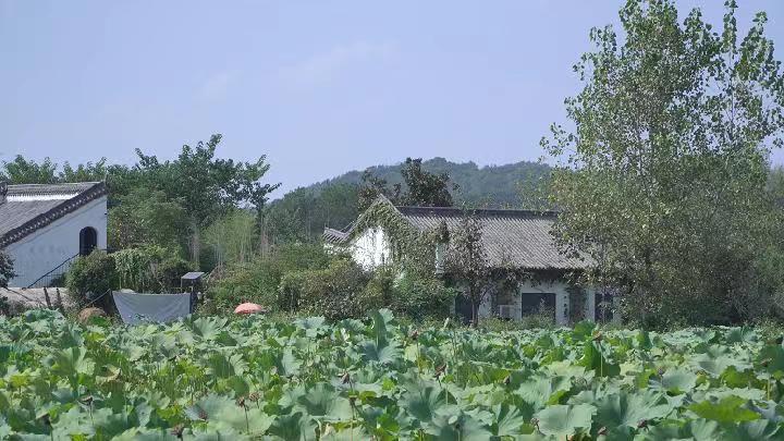 中国小龙虾之乡潢川,信阳潢川小龙虾农村