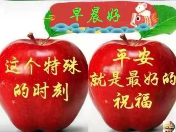 清晨开心幸福问候表情图片,早上好祝你天天开心表情图片