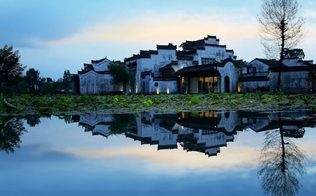 中国十大网红民宿,年盈利千万的民宿